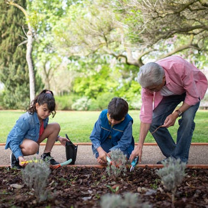 4 Activities for Seniors With Arthritis